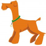 comunicación con mi perro