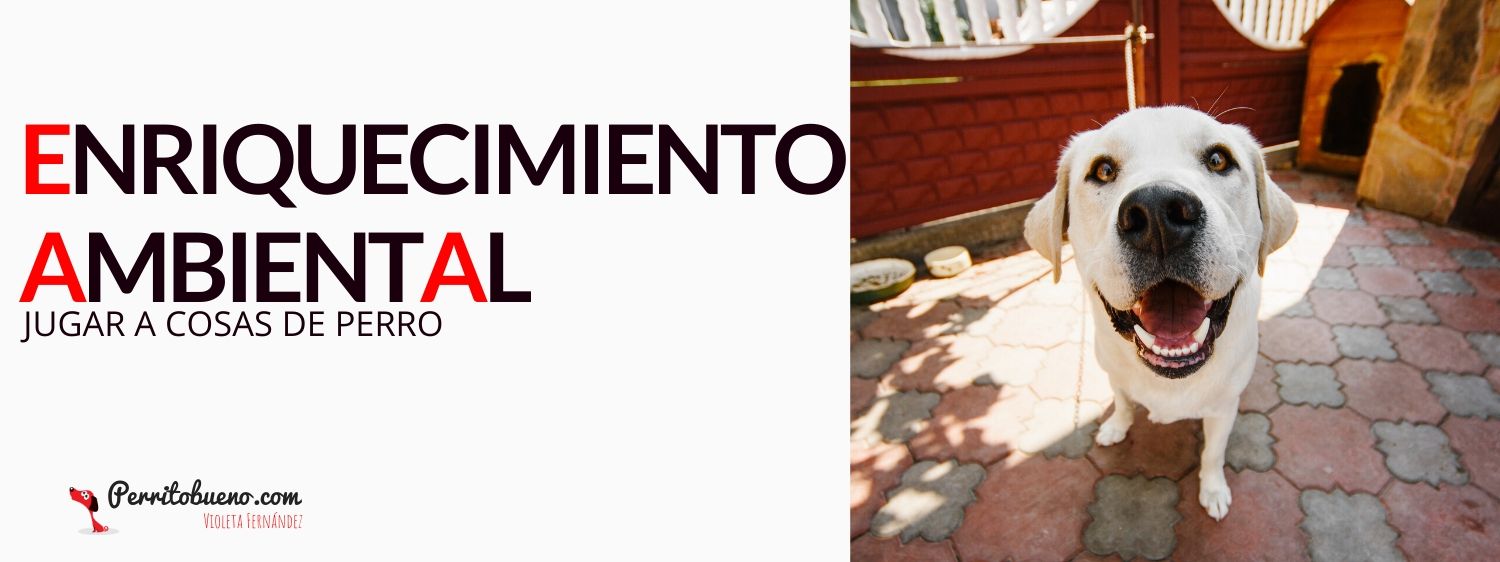 Enriquecimiento ambiental