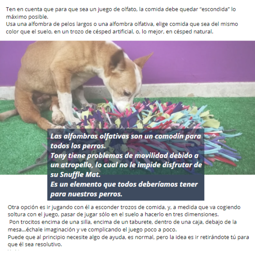 perros juegos sencillos (1)