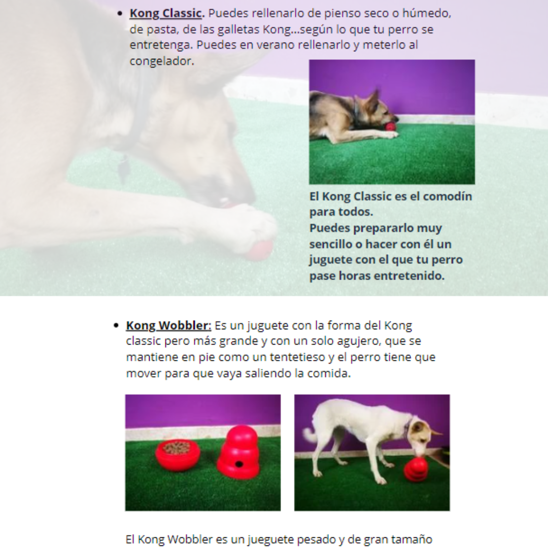 perros juegos sencillos (2)