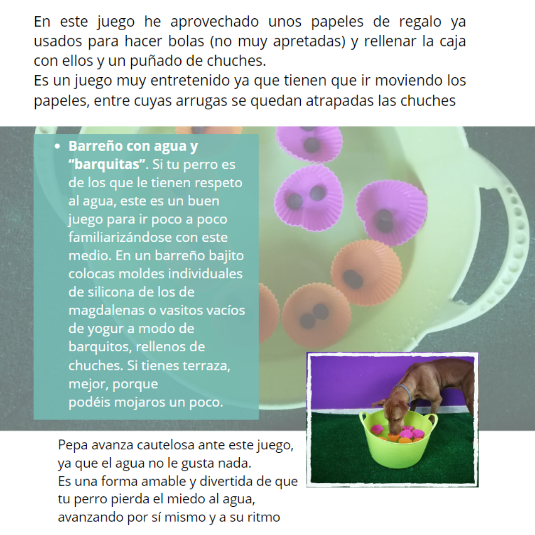 perros juegos sencillos (3)