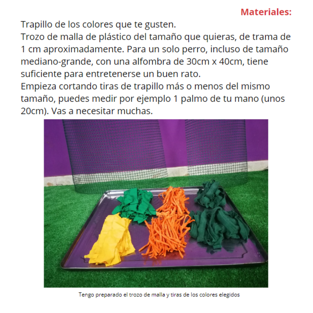 perros juegos sencillos (4)